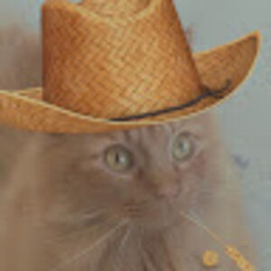 Meet your Posher, Justyne